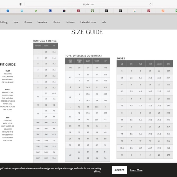 NWT $248 JOIE TEA ROSE MAXI PRAIRIE BOHO COTTON SUMMER LINED COMFY DRESS MEDIUM - Picture 4 of 11